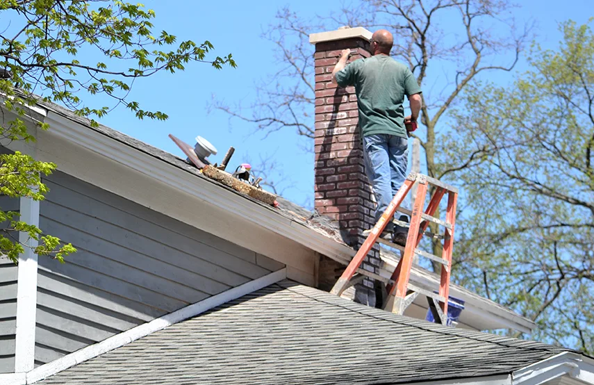 Chimney & Fireplace Inspections Services in Belvedere Park, GA